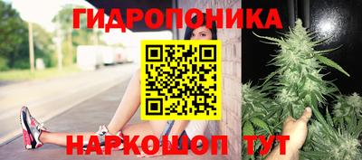 дистиллят марихуана Гай
